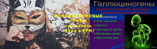 круглые Абаза